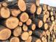 Триває доставка безкоштовних дров на прифронтові території