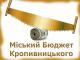 Кропивницький міський бюджет: профінансуємо медиків - забудемо про позашкільну освіту