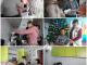 На Кіровоградщині для дітей з особливими потребами відкрили кімнати соціально-побутового орієнтування