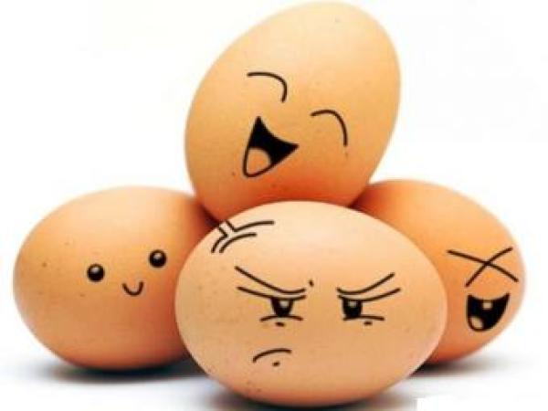 Новина Антимонопольный комитет запретил повышать цены на яйца Ранкове місто. Кропивницький