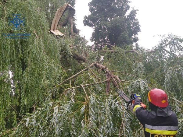 Новина Минулої ночі Кіровоградщину накрив ураган: попадало чимало дерев Ранкове місто. Кропивницький