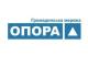 У Кропивницькому презентували результати розслідувань порушень законодавства на місцевих виборах 2015 року