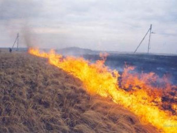 Новина В Алуште участились случаи возгорания травы и мусора Ранкове місто. Кропивницький