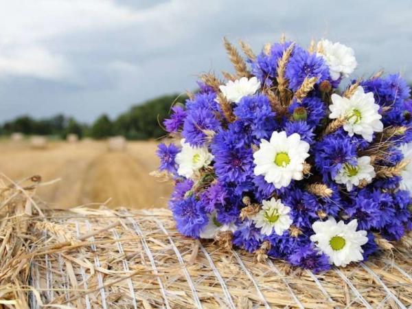 Новина Погода на 18 серпня Ранкове місто. Кропивницький