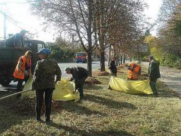 Новина Комунальники Кропинивцького прибирають листя на вулицях міста Ранкове місто. Кропивницький