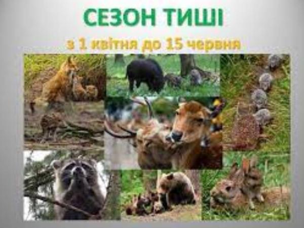 Новина Кропивничан закликають не шуміти в лісах і на об’єктах благоустрою з квітня по червень Ранкове місто. Кропивницький