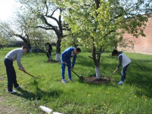 Новина Глобальне прибирання Ранкове місто. Кропивницький