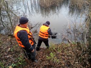 Новина На Новоархангельщині у ставку потонув 56-річний чоловік Ранкове місто. Кропивницький