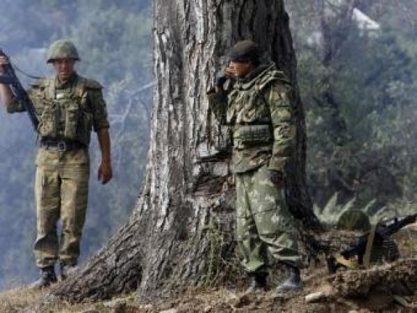 Новина На юг Одесской области напали диверсанты Ранкове місто. Кропивницький