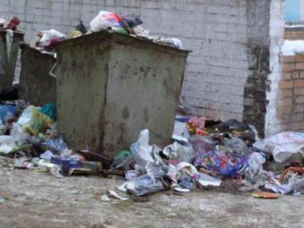 Новина В Горловке возле мусорных баков нашли мертвого младенца Ранкове місто. Кропивницький
