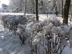 Новина Якою буде погода сьогодні у Кропивницькому? Ранкове місто. Кропивницький