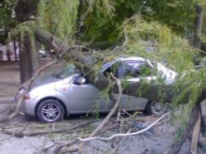 Новина Одесситы не смогут получить компенсацию за автомобили, пострадавшие от деревьев Ранкове місто. Кропивницький