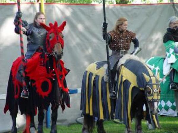 Новина В Белгороде-Днестровском будут сражаться рыцари Ранкове місто. Кропивницький