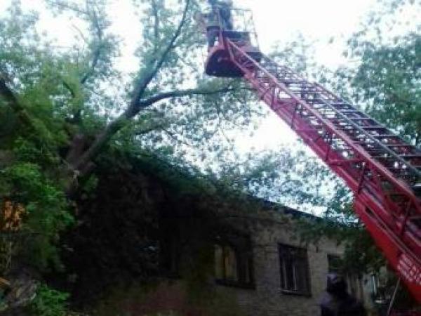 Новина У Кропивницькому після дощу рятувальники три рази розпилювали та прибирали дерева Ранкове місто. Кропивницький