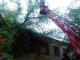 У Кропивницькому після дощу рятувальники три рази розпилювали та прибирали дерева