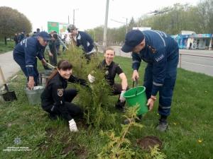 Новина Як патрульні висаджували дерева у Кропивницькому Ранкове місто. Кропивницький