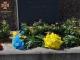 У Кропивницькому вшанували пам'ять жертв політичних репресій