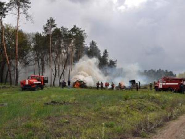 Новина На Кіровоградщині горів сосновий ліс. Умовно Ранкове місто. Кропивницький