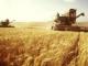 Кировоградщина в этом году собрала рекордный урожай