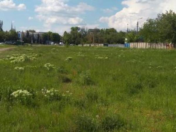 Новина 21 жовтня о 13.00 у Кропивницькому відбудеться акція з висадження дерев по вул. Автолюбителів Ранкове місто. Кропивницький