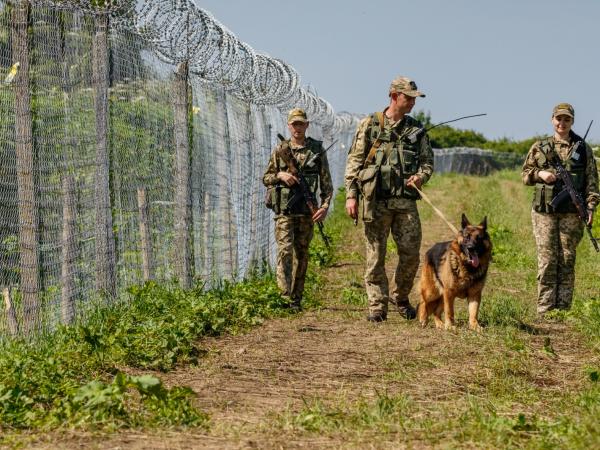 Новина Поблизу кордону зі Словаччиною затримали 10 правопорушників Ранкове місто. Кропивницький