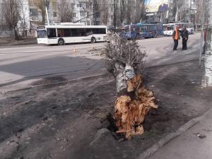 Новина По вулиці Полтавська на дорогу впало дерево. Рух тролейбусів зупинено (ФОТО) Ранкове місто. Кропивницький