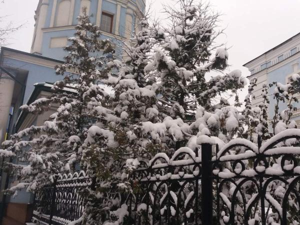 Новина Погода у Кропивницькому 13 грудня Ранкове місто. Кропивницький