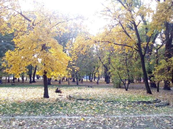 Новина Кропивницький в обіймах осені (ФОТОРЕПОРТАЖ) Ранкове місто. Кропивницький