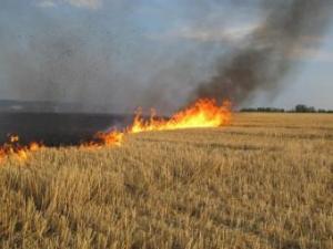 Новина Кропивничани, будьте обережними під час жнив Ранкове місто. Кропивницький