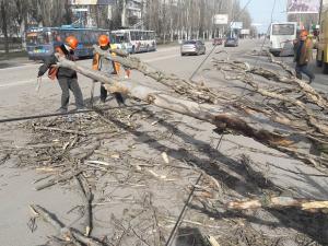 Новина Кропивницький потерпає від сильного вітру (ФОТО) Ранкове місто. Кропивницький