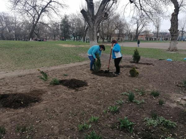 Новина Кропивницький: Учні Кущівської гімназії посадили дерева Перемоги Ранкове місто. Кропивницький