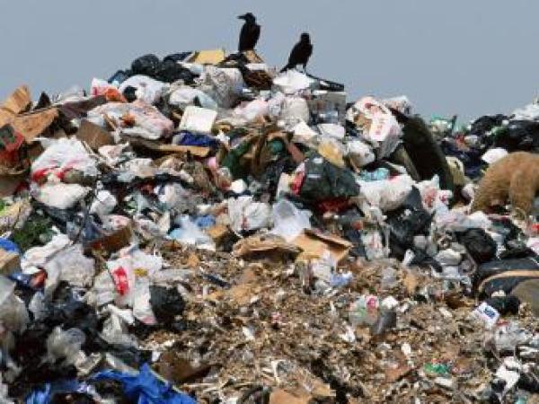 Новина В апреле мусор на официальную городскую свалку можно сдать бесплатно Ранкове місто. Кропивницький