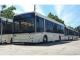 Кропивницький: Відновлюється маршрут автобусу № 118
