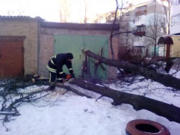 Новина У Кропивницькому рятувальники спиляли аварійне дерево, яке впало на гараж Ранкове місто. Кропивницький