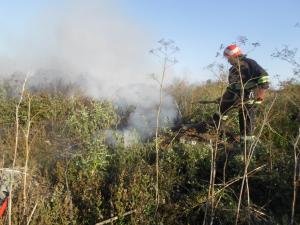 Новина По області стаються пожежі на відкритих територіях Ранкове місто. Кропивницький