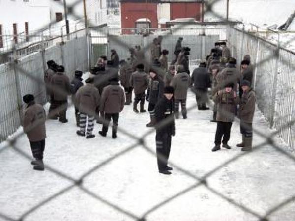 Новина Количество заключенных в Украине растет с каждым годом Ранкове місто. Кропивницький