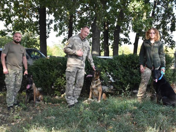 Новина Кінологічний центр поліції Кіровоградщини поповнився службовими собаками Ранкове місто. Кропивницький