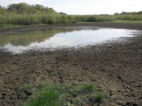 Новина В Одесской области высыхают водоемы Ранкове місто. Кропивницький