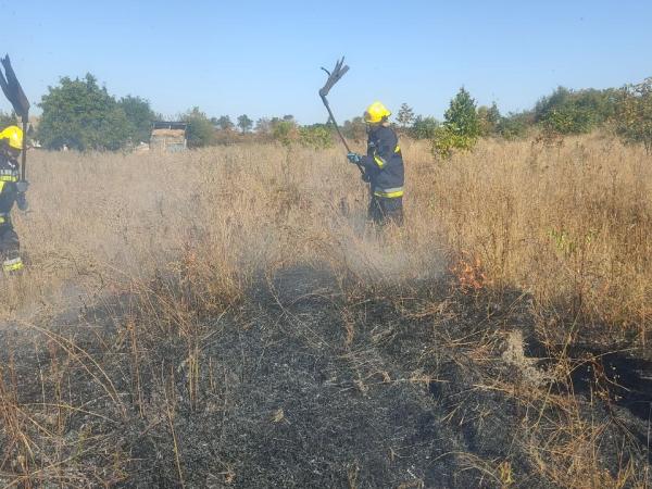 Новина Кіровоградська область: рятувальники загасили 8 пожеж різного характеру Ранкове місто. Кропивницький