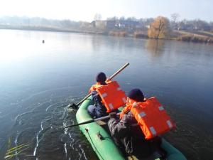 Новина На Кіровоградщині у водоймищі мало не загинув лебідь Ранкове місто. Кропивницький