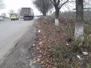 Новина Чому безкарними лишаються далекобійники, що смітять на виїзді з міста? Ранкове місто. Кропивницький