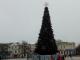 На центральній площі Кропивницького встановили новорічну ялинку.