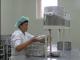 У восьми работников молочных кухонь в Донецкой области обнаружили стафилококк