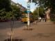Активісти взяли шефство над молодими деревами у Кропивницькому (ФОТО)