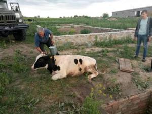 Новина На Кіровоградщині «годувальниця» родини потрапила до ями Ранкове місто. Кропивницький