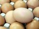 В этом году, по сравнению с прошлым, Кировоградщина производит больше яиц