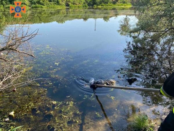 Новина Невідомий чоловік втопився в Інгульці в Олександрії Ранкове місто. Кропивницький