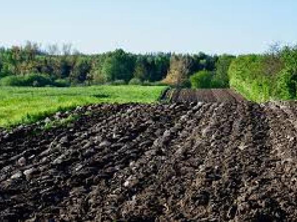 Новина Кіровоградщина: Підприємця звинувачують у незаконному користуванні ріллєю Ранкове місто. Кропивницький