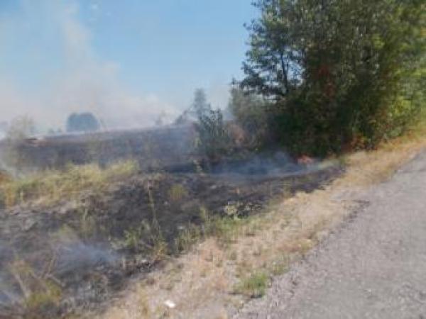 Новина Впродовж минулої доби рятувальниками ліквідовано 16 пожеж на відкритій території Ранкове місто. Кропивницький