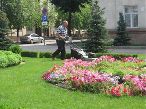 Новина Безробітні кропивничани минулого літа озеленювали і прибирали наше місто Ранкове місто. Кропивницький